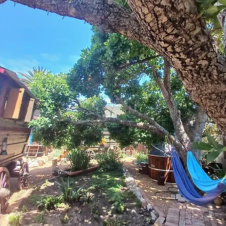 Gypsy Wagons, Arum Ave, Kommetjie Kaapstad Buitenkant foto