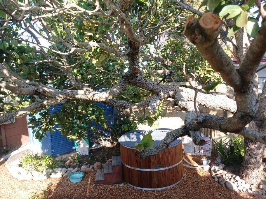 Gypsy Wagons, Arum Ave, Kommetjie Kaapstad